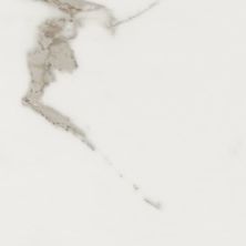 Daltile Marble Attache Field Tile Calacatta MA87-2424-ST