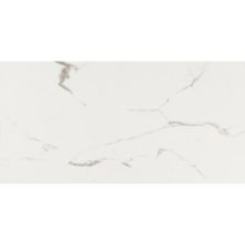 Daltile Marble Attache Field Tile Calacatta MA87-2448-PL