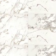 Daltile Marble Attache Field Tile Calacatta – 24×48 MA87-24×48