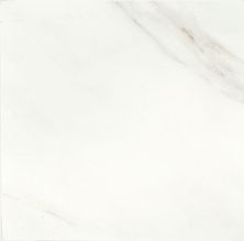 American Olean Mirasol Bianco Carrara ML70SQU2424MT