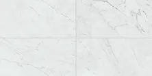 Daltile Marble Attaché Lavish Diamond Carrara MRBLTTCHLVSH_MA70_12X24_RP