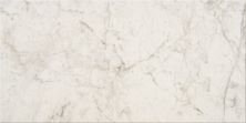 American Olean Mythique Marble Altissimo MY10RCT1224MT