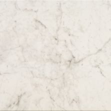 American Olean Mythique Marble Altissimo MY10SQU1212MT