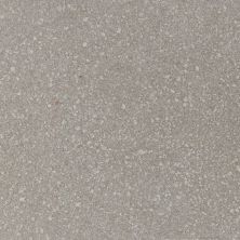 American Olean Neospeck Light Gray NE03SQU2424MT