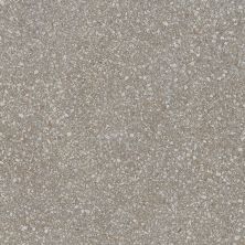 American Olean Neospeck Medium Gray NE04SQU2424LP