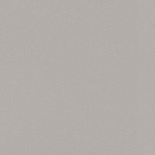 Daltile One Quartz – Monochromatic Look Simply Grey OQ30SLVARIAPL3
