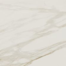 Daltile Perpetuo Brilliant White 12×24 PT211224