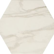 Daltile Perpetuo Brilliant White Hexagon 8 PT21HEX8