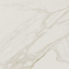 Daltile Perpetuo Brilliant White 12×12 PT211212