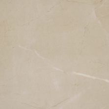 Daltile Perpetuo Elegant Beige 12×12 PT221212