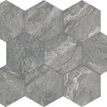 Daltile Perpetuo Eternal Grey Hexagon 8 PT23HEX8