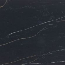 Daltile Perpetuo Infinite Black 12×24 PT241224