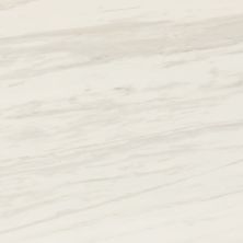 Daltile Perpetuo Timeless White 12×24 PT201224