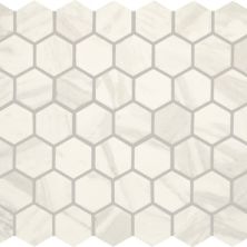 Daltile Perpetuo Timeless White Hexagon 1.5 PT20HEX15