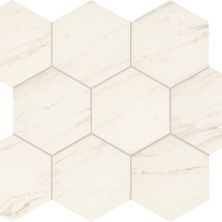 Daltile Perpetuo Timeless White Hexagon 8 PT20HEX8