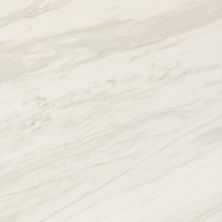 Daltile Perpetuo Timeless White 12×12 PT201212
