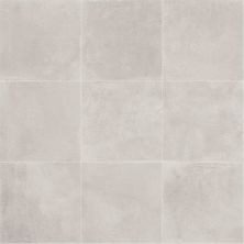 Daltile Portfolio Field Tile White 12×24 PF0212241P