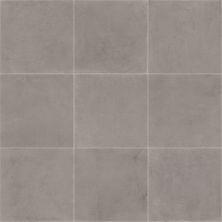 Daltile Portfolio Field Tile Ash Grey 12×24 PF0512241P