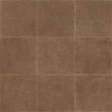 Daltile Portfolio Field Tile Cotto 12×24 PF1012241P