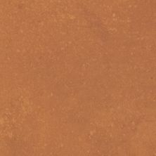 Daltile Portfolio – Vivid Field Tile Orange Burst PF23