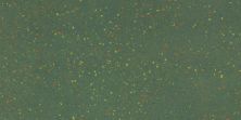 Daltile Portfolio Confetti Emerald Green Confetti PRTFLCNFTT_PF34_12X24_RM