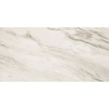 Daltile Perpetuo Field Tile Timeless White 12×24 Polished PT20-1224-P