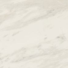 Daltile Perpetuo Field Tile Timeless White 24×24 Polished PT20-2424-P