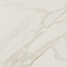 Daltile Perpetuo Field Tile Brilliant White 12×12 Polished PT21-1212-P