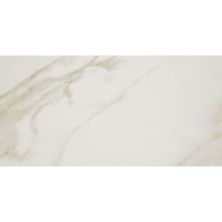 Daltile Perpetuo Field Tile Brilliant White 12×24 Polished PT21-1224-P
