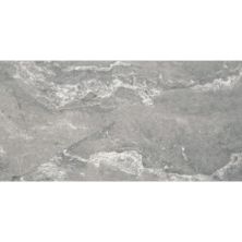 Daltile Perpetuo Field Tile Eternal Grey 12×24 Polished PT23-1224-P