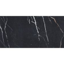 Daltile Perpetuo Field Tile Infinite Black 12×24 Polished PT24-1224-P