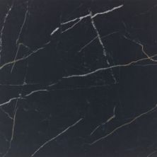 Daltile Perpetuo Field Tile Infinite Black 24×24 Polished PT24-2424-P