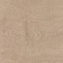 Daltile Proseries – Pines Terrace – 8 Mil Sugar PT60