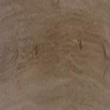 Daltile Proseries – Pines Terrace – 8 Mil Cinnamon PT66