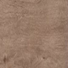 Daltile Proseries – Pines Terrace – 20 Mil Ginger PT78