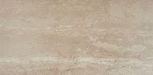 Daltile Epitomize Percussion Taupe PTMZ_EP21_12X24_RM
