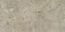 Daltile Natural Quartzite – Natural Stone Slab Savoie Q019SLVARIAPL2