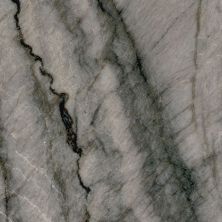 Daltile Natural Quartzite – Natural Stone Slab Mercury Q103SLVARIAPL2