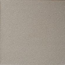 Daltile Quarry Tile Arid Gray QRRYTL_0Q42_6X6_SM