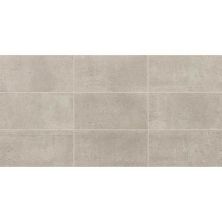 Daltile Reminiscent Field Tile Souvenir Gray 12×24 RM2212241P6