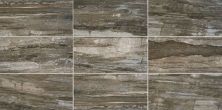 Daltile River Marble Smoky River RM94RCT624MT