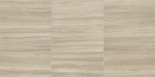 Daltile Articulo Feature Beige RTCL_AR07_18X36_RM