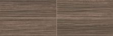 Daltile Articulo Story Brown RTCL_AR08_12X24_RM