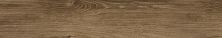Daltile Revotile – Wood Look Provence Brown RV82PLK636MT