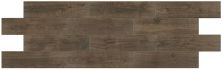 Daltile Revotile – Wood Look Spiced Walnut RVTLWDLK_RV72_6X24_PM