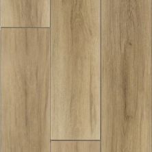 Daltile Proseries – Halstatt Scenic HT43