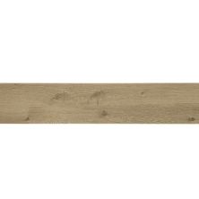 Daltile Sleigh Creek Chariot Plank SK34PL