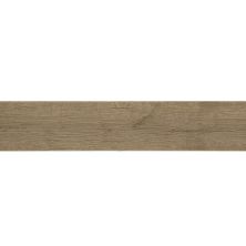 Daltile Sleigh Creek Landau Plank SK35PL