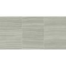 Daltile Santino Field Tile Grigio 12×24 SN0812241P