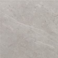 Daltile Core Fundamentals – Prime Field Tile Stamina Grey 18″x36″ PRIME-RL231836